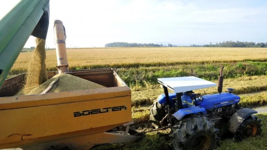 Colheita de arroz. Colheita de arroz.