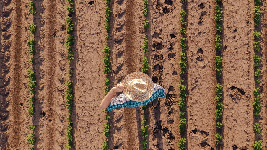 Vista aérea de fazendeiro em campo de soja, drone pov diretamente acima do trabalhador da fazenda. Vista aérea de fazendeiro em campo de soja, drone pov diretamente acima do trabalhador da fazenda.