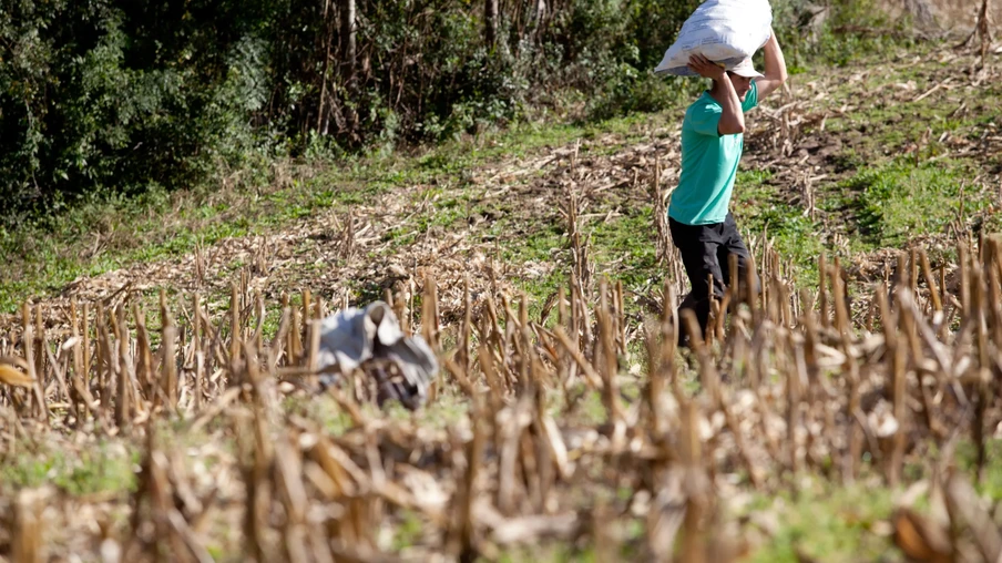 Foto de um agricultor carregando nas costas. Foto de um agricultor carregando nas costas.