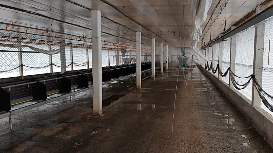 Foto de uma granja. Foto de uma granja.