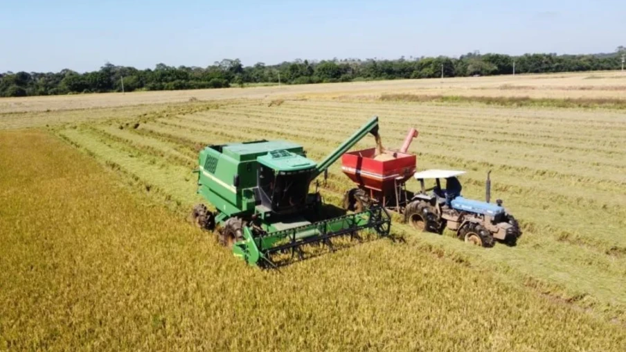 Colheita do Arroz. Colheita do Arroz.