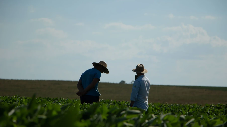 Foto de uma lavoura de soja e com dois homens no fundo. Foto de uma lavoura de soja e com dois homens no fundo.
