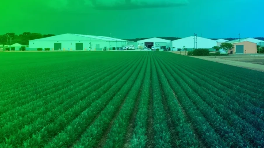 Foto de uma lavoura. Foto de uma lavoura.