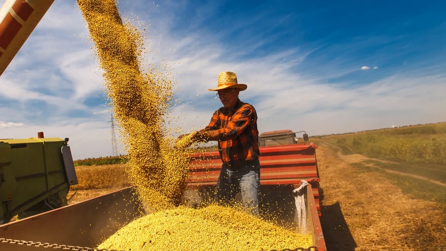 Agricultor em reboque de trator supervisiona a colheita da soja. Agricultor em reboque de trator supervisiona a colheita da soja.