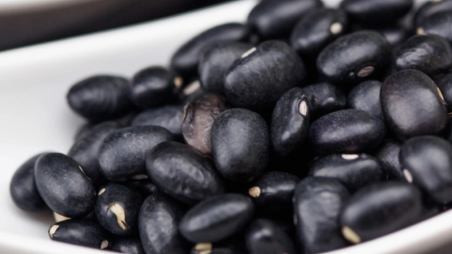 Foto de grãos de feijão. Foto de grãos de feijão.