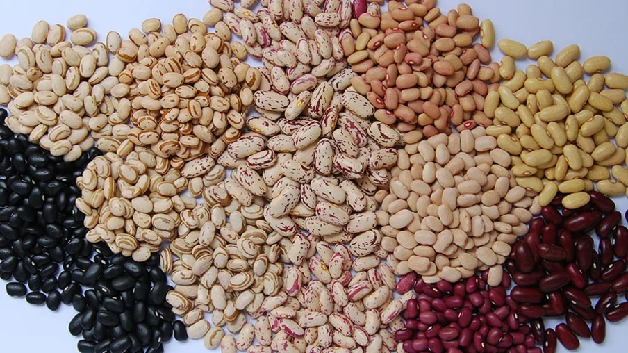 Fotos com vários tipos de feijões. Fotos com vários tipos de feijões.