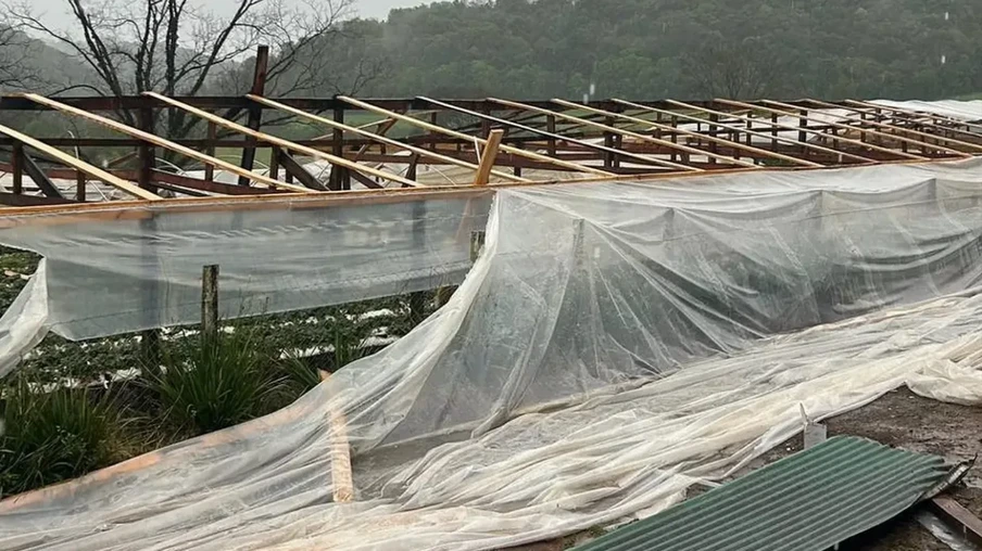 Foto de estufas destruídas em marau. Foto de estufas destruídas em marau.