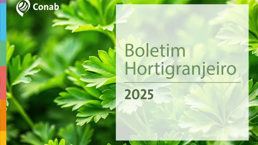 Boletim da Conab verifica queda acentuada de preços do tomate no atacado nos primeiros dias de setembro. Boletim da Conab verifica queda acentuada de preços do tomate no atacado nos primeiros dias de setembro.