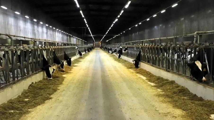 Foto: Divulgação Foto: Divulgação