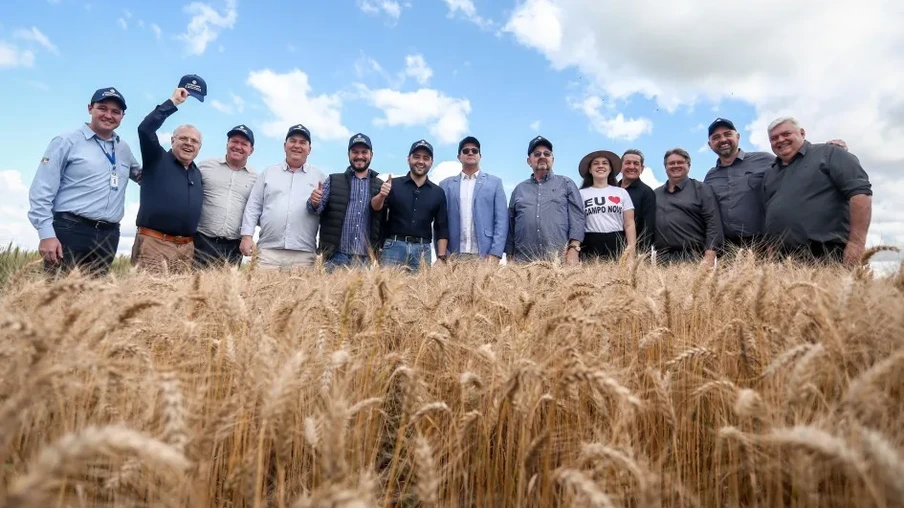 Safra de trigo no Rio Grande do Sul representa quase metade da produção nacional | Foto: Bruno Todeschini/Divulgação Safra de trigo no Rio Grande do Sul representa quase metade da produção nacional | Foto: Bruno Todeschini/Divulgação