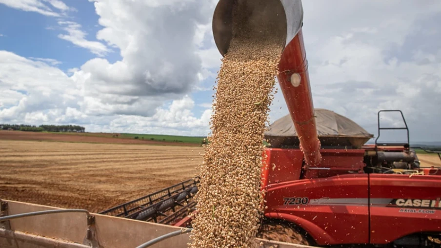Em relação ao feijão carioca, as compras também recuaram na maioria das praças, refletindo a qualidade inferior dos lotes e a menor demanda | Foto: CNA Brasil/Divulgação Em relação ao feijão carioca, as compras também recuaram na maioria das praças, refletindo a qualidade inferior dos lotes e a menor demanda | Foto: CNA Brasil/Divulgação