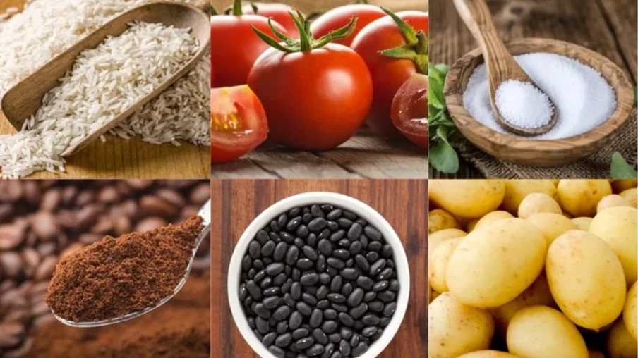 O tomate teve queda em 26 capitais, com variações de -47,61% em Palmas a -3,32% em Campo Grande | Foto: Conab/Divulgação O tomate teve queda em 26 capitais, com variações de -47,61% em Palmas a -3,32% em Campo Grande | Foto: Conab/Divulgação