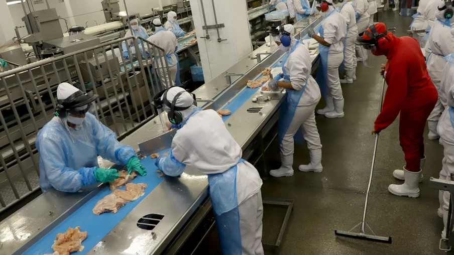Em 2024, as exportações de carne de frango paranaense para a Malásia renderam, em média, US$ 564,55 mil mensais, uma receita de US$ 6,77 milhões no ano | Foto: Ari Dias/AEN/Divulgação Em 2024, as exportações de carne de frango paranaense para a Malásia renderam, em média, US$ 564,55 mil mensais, uma receita de US$ 6,77 milhões no ano | Foto: Ari Dias/AEN/Divulgação