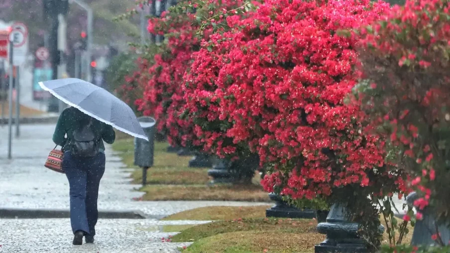 | Foto: José Fernando Ogura/Divulgação | Foto: José Fernando Ogura/Divulgação