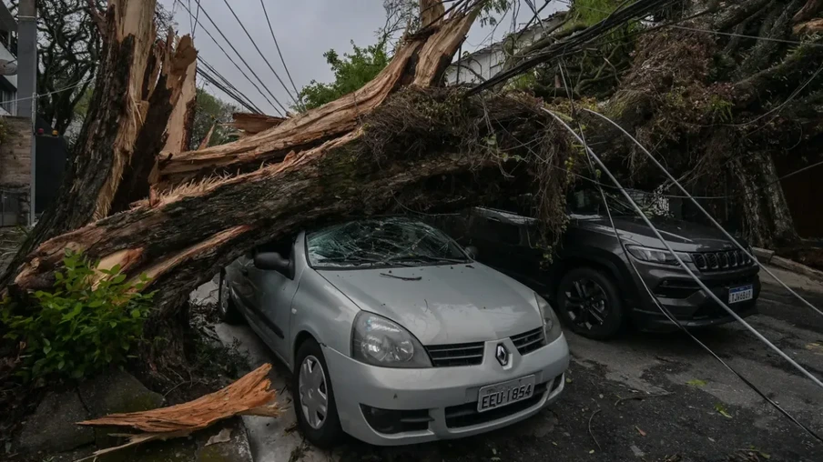 Vento associado ao ciclone pode trazer ocorrências de quedas de árvores nesta segunda-feira em São Paulo com cortes de luz em algumas áreas | Foto: Nelson Almeida/AFP/Metsul Vento associado ao ciclone pode trazer ocorrências de quedas de árvores nesta segunda-feira em São Paulo com cortes de luz em algumas áreas | Foto: Nelson Almeida/AFP/Metsul