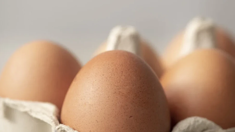 Em 2025, cada brasileiro deverá consumir, em média, 288 ovos ao longo do ano, uma elevação de 7,1% frente ao consumo per capita de 269 unidades em 2024 | Foto: ABPA/Divulgação Em 2025, cada brasileiro deverá consumir, em média, 288 ovos ao longo do ano, uma elevação de 7,1% frente ao consumo per capita de 269 unidades em 2024 | Foto: ABPA/Divulgação