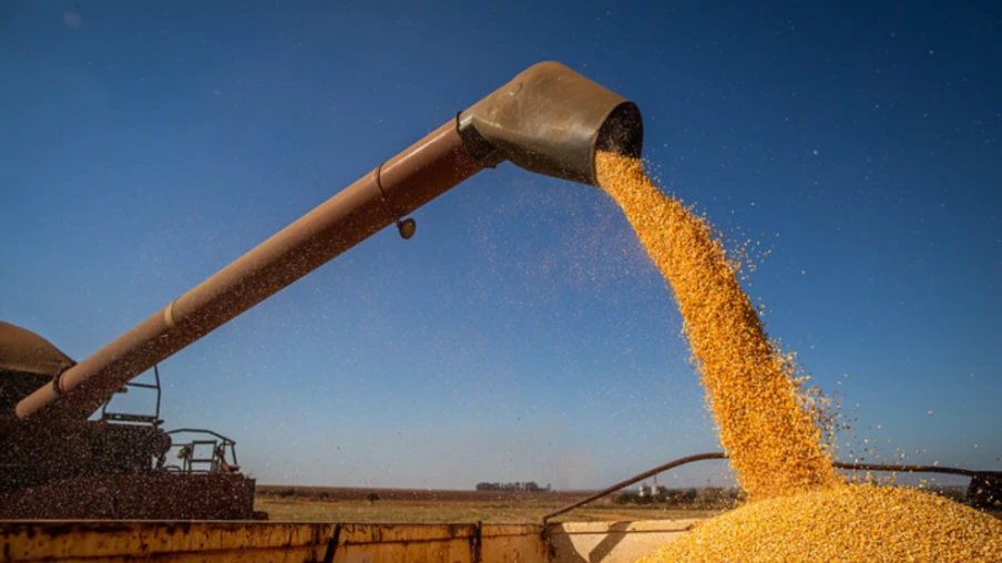 O estudo aponta que a safra 2025/2026 deve alcançar 353,8 milhões de toneladas de grãos, um aumento de 1% em relação à temporada anterior | Foto: CNA Brasil/Divulgação O estudo aponta que a safra 2025/2026 deve alcançar 353,8 milhões de toneladas de grãos, um aumento de 1% em relação à temporada anterior | Foto: CNA Brasil/Divulgação