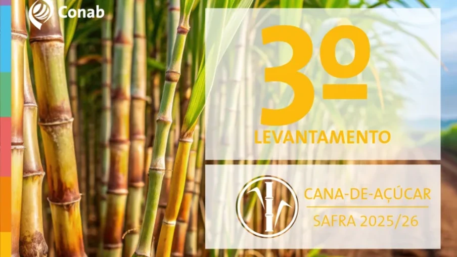 Principal região produtora de cana do país, o Sudeste deve registrar uma colheita de 420,2 milhões de toneladas, 4,4% inferior ao registrado em 2024/25 | Foto: Conab/Divulgação Principal região produtora de cana do país, o Sudeste deve registrar uma colheita de 420,2 milhões de toneladas, 4,4% inferior ao registrado em 2024/25 | Foto: Conab/Divulgação