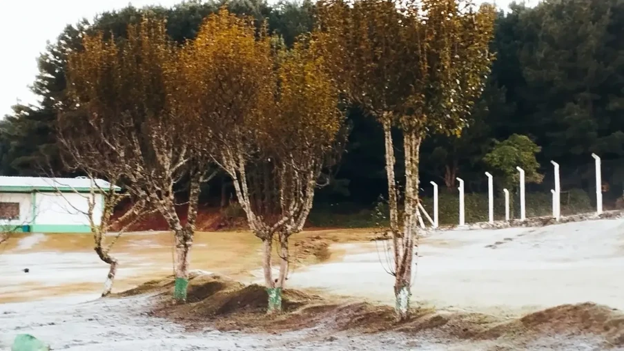 No Rio Grande do Sul, estações meteorológicas registraram mínimas nesta segunda-feira (10) de 2,6ºC em São José dos Ausentes | Foto: Nilson Wolff/Divulgação No Rio Grande do Sul, estações meteorológicas registraram mínimas nesta segunda-feira (10) de 2,6ºC em São José dos Ausentes | Foto: Nilson Wolff/Divulgação