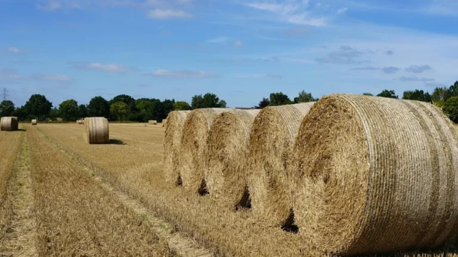 Tais resultados são fruto do trabalho conjunto do Ministério da Agricultura e Pecuária (Mapa) e do Ministério das Relações Exteriores (MRE) | Foto: MAPA/Divulgação Tais resultados são fruto do trabalho conjunto do Ministério da Agricultura e Pecuária (Mapa) e do Ministério das Relações Exteriores (MRE) | Foto: MAPA/Divulgação