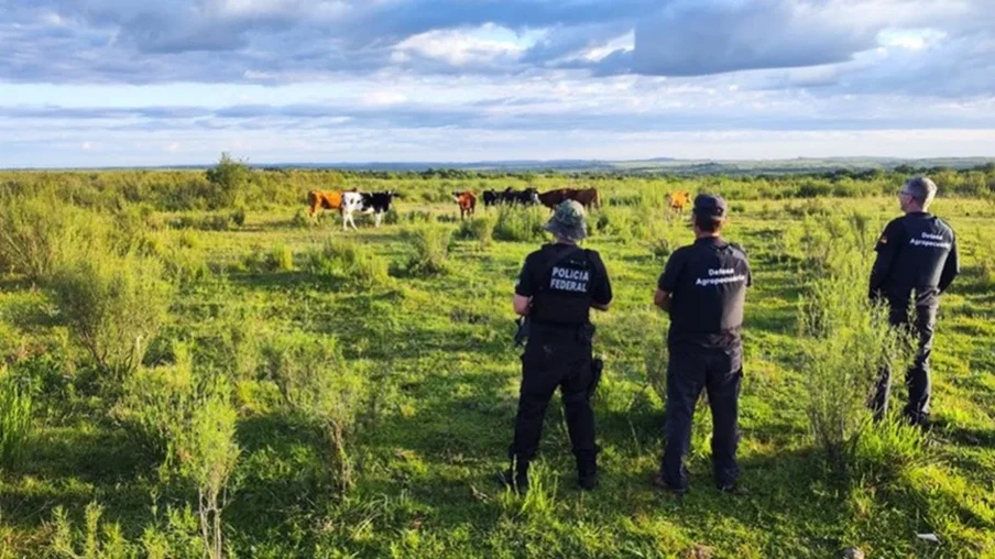 Operação Manada é deflagrada pela Polícia Federal em três municípios do RS e SC | Foto: Polícia Federal Caxias do Sul/Divulgação Operação Manada é deflagrada pela Polícia Federal em três municípios do RS e SC | Foto: Polícia Federal Caxias do Sul/Divulgação