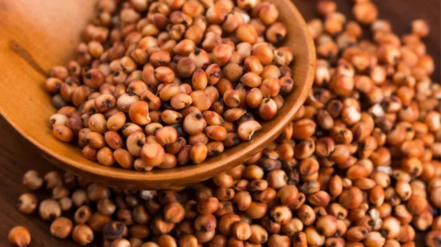 Gana importou mais de US$ 315 milhões em produtos agropecuários brasileiros entre janeiro e novembro de 2025 | Foto: MAPA/Divulgação Gana importou mais de US$ 315 milhões em produtos agropecuários brasileiros entre janeiro e novembro de 2025 | Foto: MAPA/Divulgação