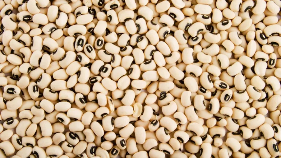 Em 2024, as exportações totais do Brasil para esses destinos somaram aproximadamente US$ 38 milhões, com destaque para a Armênia, principal compradora (US$ 26,3 milhões) | Foto: MAPA/Divulgação Em 2024, as exportações totais do Brasil para esses destinos somaram aproximadamente US$ 38 milhões, com destaque para a Armênia, principal compradora (US$ 26,3 milhões) | Foto: MAPA/Divulgação