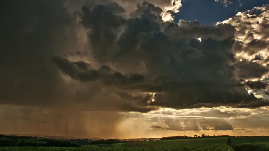 No entanto, a persistência de tempo úmido pode limitar a realização de práticas de manejo no campo e aumentar o risco de doenças fúngicas em lavouras mais adensadas | Foto: Fernando Dias/Seapi No entanto, a persistência de tempo úmido pode limitar a realização de práticas de manejo no campo e aumentar o risco de doenças fúngicas em lavouras mais adensadas | Foto: Fernando Dias/Seapi