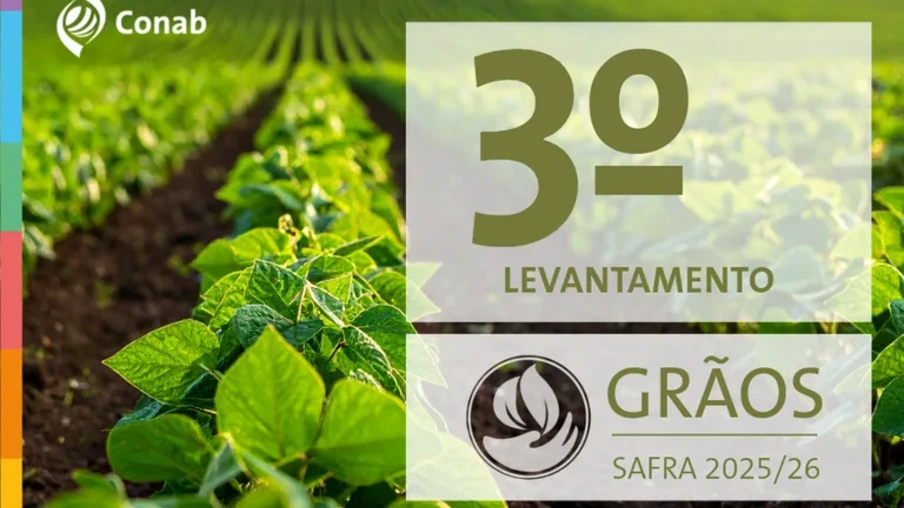 No Rio Grande do Sul, principal estado produtor de arroz, a semeadura atinge 98% da área, enquanto que em Santa Catarina, outro importante estado produtor da cultura, o plantio está finalizado | Foto: Conab/Divulgação No Rio Grande do Sul, principal estado produtor de arroz, a semeadura atinge 98% da área, enquanto que em Santa Catarina, outro importante estado produtor da cultura, o plantio está finalizado | Foto: Conab/Divulgação