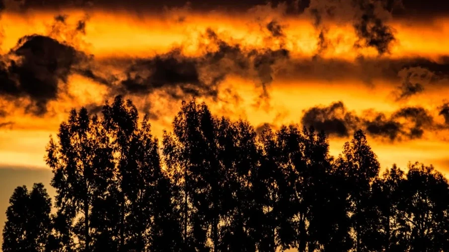 Previsão é de temperaturas elevadas e de chuvas isoladas em todas as regiões do Rio Grande do Sul | Foto: Fernando Dias/ Ascom Seapi
Previsão é de temperaturas elevadas e de chuvas isoladas em todas as regiões do Rio Grande do Sul | Foto: Fernando Dias/ Ascom Seapi