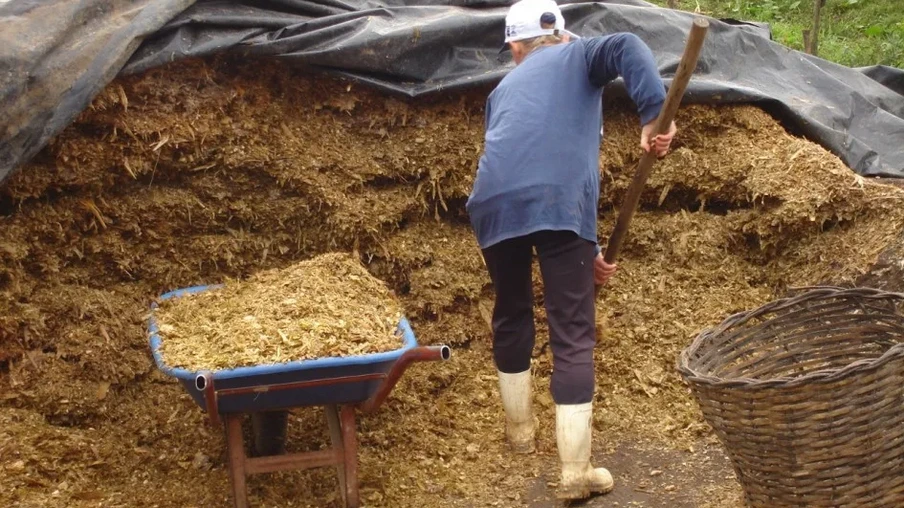 Estimam-se que 65% dos 366.067 hectares de área prevista pela Emater/RS-Ascar para esta safra no Estado estejam implantadas | Foto: Seapi/Divulgação Estimam-se que 65% dos 366.067 hectares de área prevista pela Emater/RS-Ascar para esta safra no Estado estejam implantadas | Foto: Seapi/Divulgação