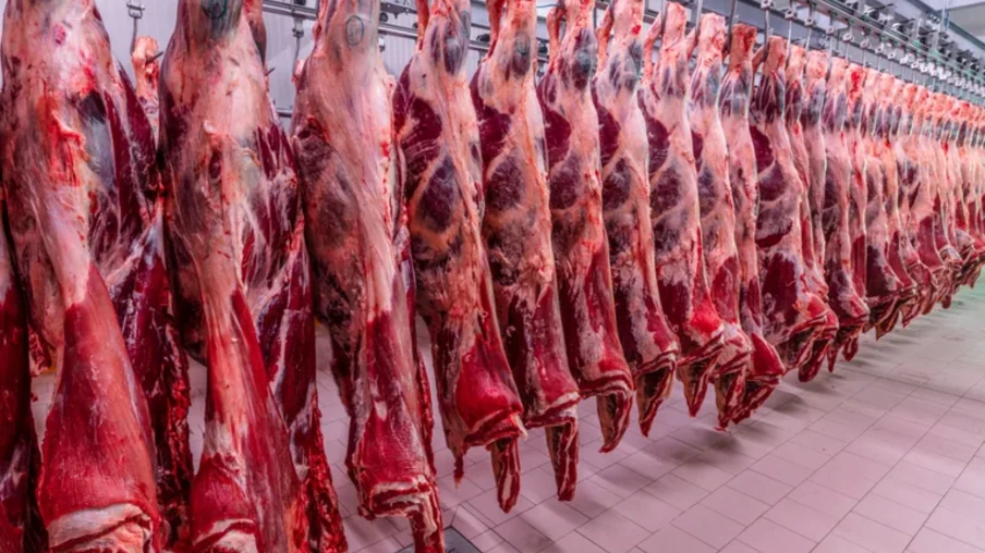 Os novos estabelecimentos habilitados estão localizados em Rondônia (2), Mato Grosso do Sul (1) e Tocantins (1) | Foto: MAPA/Divulgação Os novos estabelecimentos habilitados estão localizados em Rondônia (2), Mato Grosso do Sul (1) e Tocantins (1) | Foto: MAPA/Divulgação