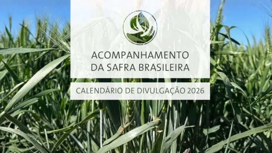 Para a cana-de-açúcar, o 4º e último levantamento que encerra a safra 2025/26 está agendado para o dia 16 de abril | Foto: Conab/Divulgação Para a cana-de-açúcar, o 4º e último levantamento que encerra a safra 2025/26 está agendado para o dia 16 de abril | Foto: Conab/Divulgação