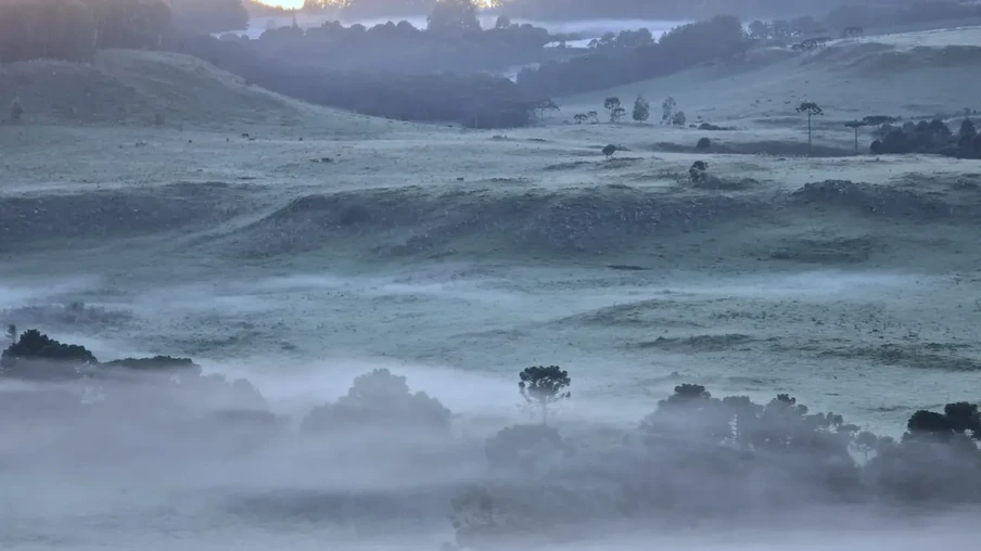 Campos cobertos pelo gelo da geada no amanhecer da segunda-feira em São Joaquim (SC) | Foto: Mycchel Legnahi/ Divulgação Campos cobertos pelo gelo da geada no amanhecer da segunda-feira em São Joaquim (SC) | Foto: Mycchel Legnahi/ Divulgação