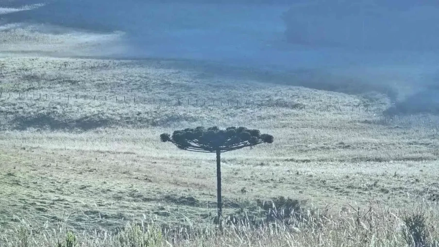 Geada hoje cedo em São Joaquim (SC) | Foto: Mycchel Legnaghi/Divulgação Geada hoje cedo em São Joaquim (SC) | Foto: Mycchel Legnaghi/Divulgação