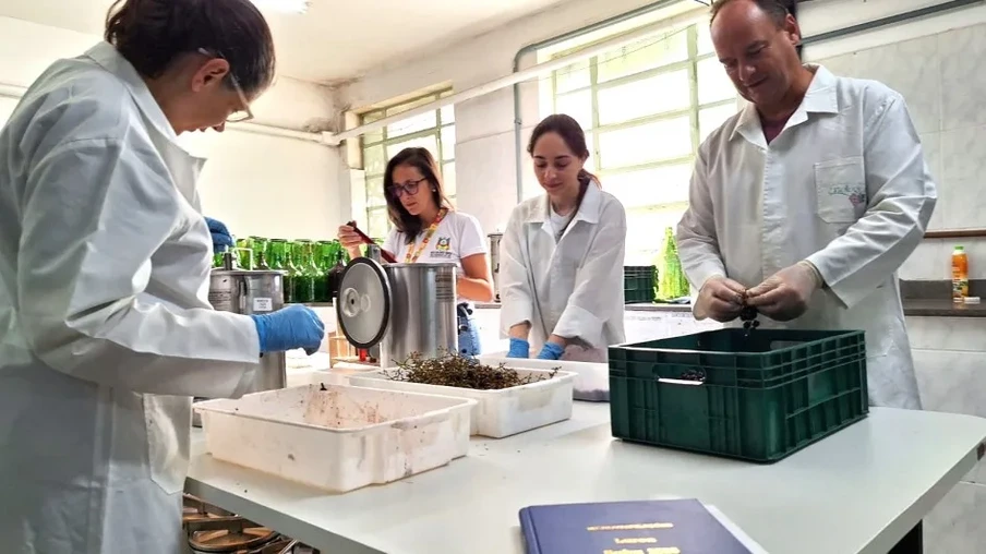 Laboratório de referência do Estado faz milhares de análises de cada safra de uva | Foto: Elstor Hanzen/Seapi
Laboratório de referência do Estado faz milhares de análises de cada safra de uva | Foto: Elstor Hanzen/Seapi