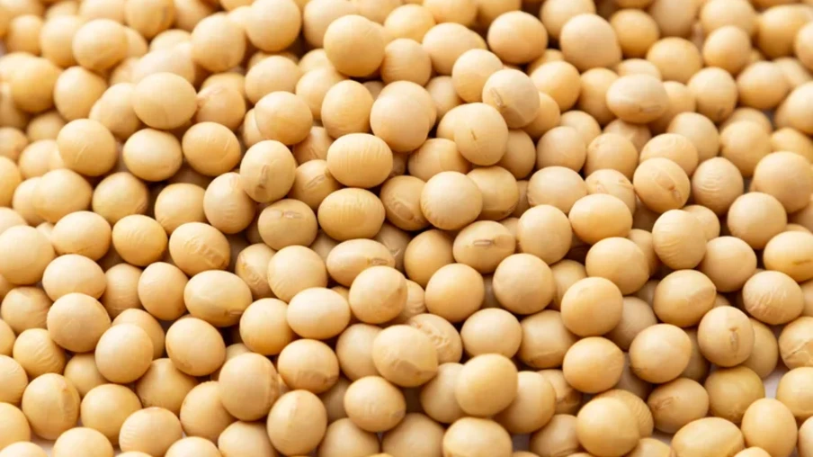 O país importou mais de US$ 3,1 bilhões em produtos agropecuários brasileiros em 2025, com destaque para carnes, produtos florestais e do complexo soja | Foto: MAPA/Divulgação O país importou mais de US$ 3,1 bilhões em produtos agropecuários brasileiros em 2025, com destaque para carnes, produtos florestais e do complexo soja | Foto: MAPA/Divulgação