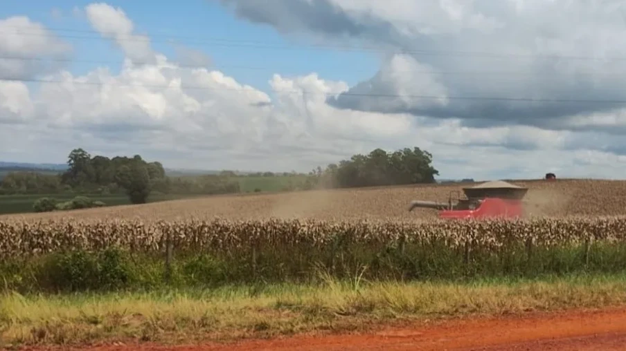Colheita do Milho na região de Não-Me-Toque | Foto: Adriane Bertoglio Rodrigues/Emater/RS-Ascar
Colheita do Milho na região de Não-Me-Toque | Foto: Adriane Bertoglio Rodrigues/Emater/RS-Ascar
