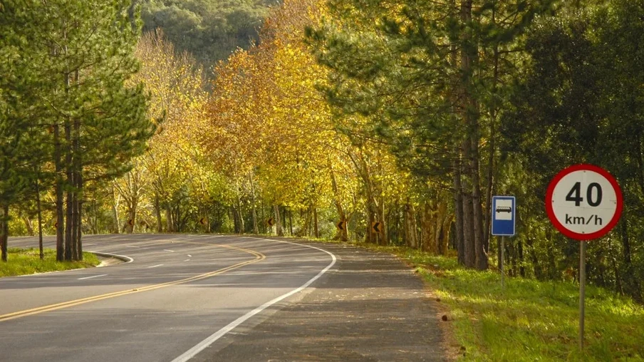 Os índices ainda serão abaixo da média em algumas regiões, como na fronteira com o Uruguai | Foto: Fernando Dias/Ascom Seapi Os índices ainda serão abaixo da média em algumas regiões, como na fronteira com o Uruguai | Foto: Fernando Dias/Ascom Seapi