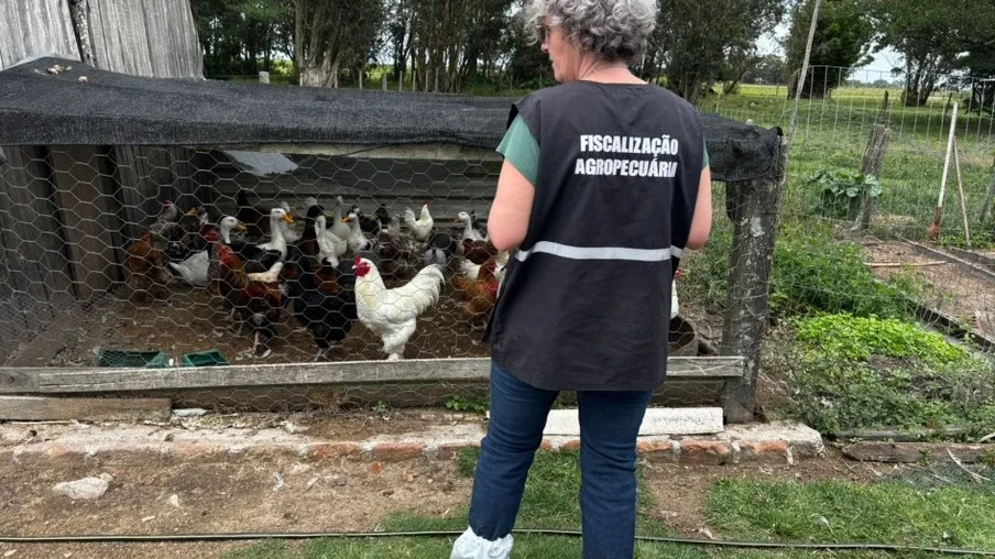 40 propriedades deverão ser visitadas em um raio de 10km | Foto: Sergiane Base Pereira/Seapi
40 propriedades deverão ser visitadas em um raio de 10km | Foto: Sergiane Base Pereira/Seapi