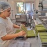 Foto de mulher com EPI em fábrica realizando a produção de chocolate branco com erva-mate.
