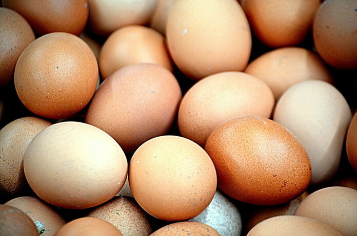 Na imagem aparece alguns ovos de galinha caipira
